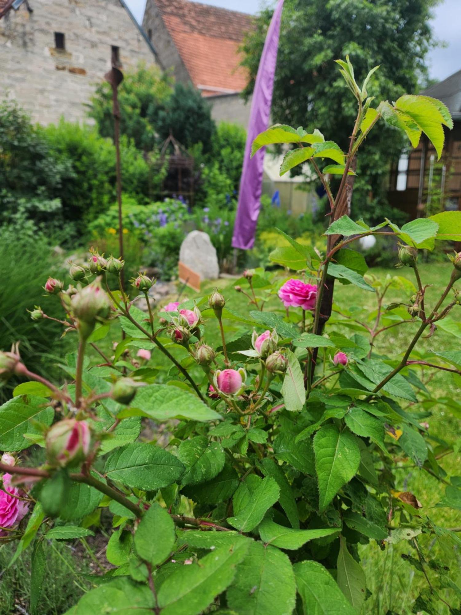 Kirchlauter Familienfreundlich Im Naturpark Hassberge Mit Gehobener Gastronomie מראה חיצוני תמונה