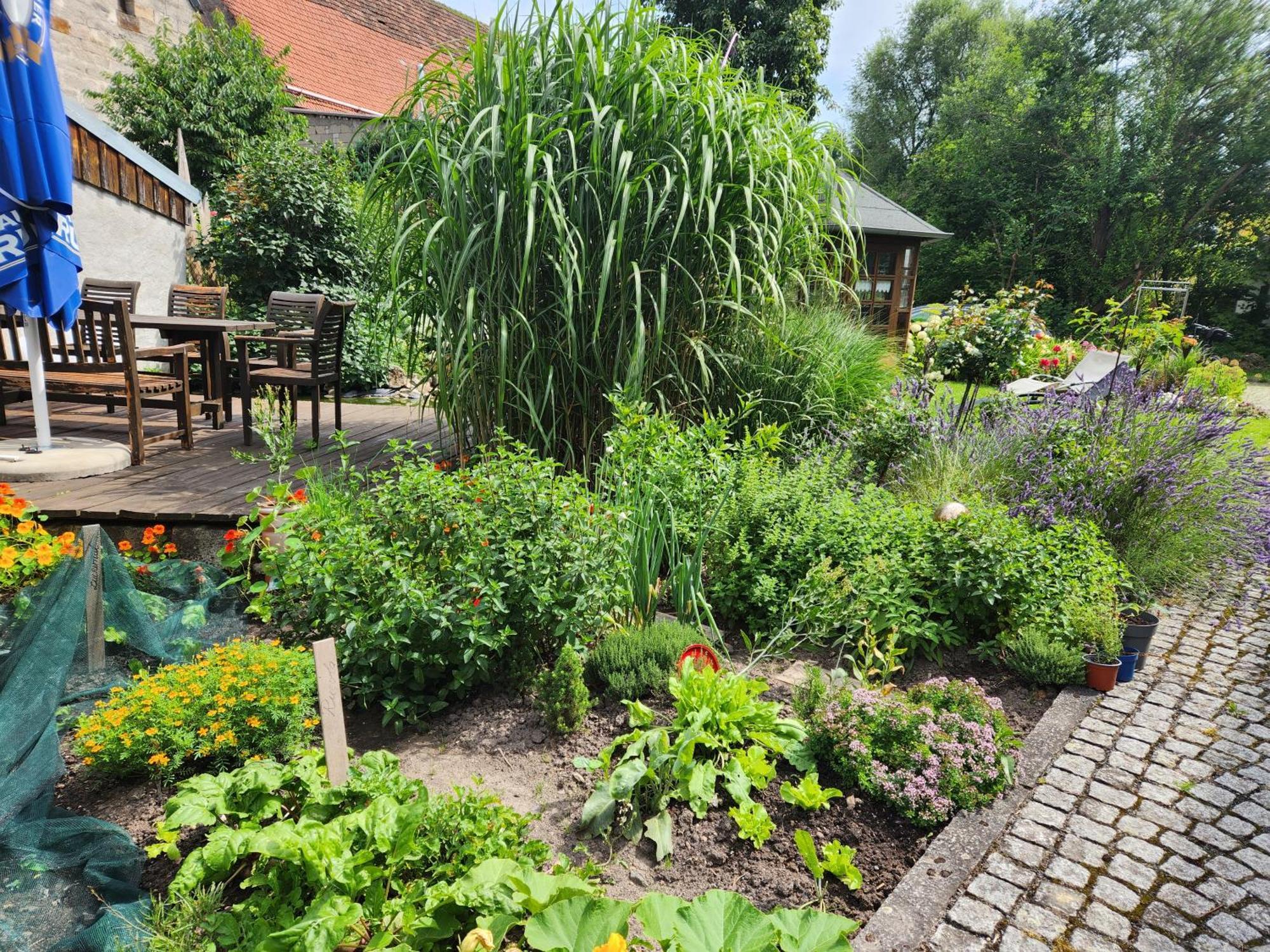 Kirchlauter Familienfreundlich Im Naturpark Hassberge Mit Gehobener Gastronomie מראה חיצוני תמונה